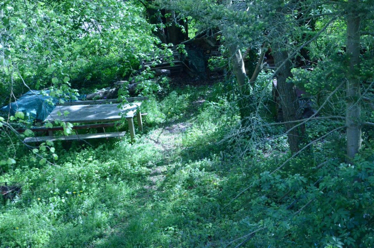 La Cave Au Chat'Pitre / L'Etable Villers-le-Bouillet Exterior foto